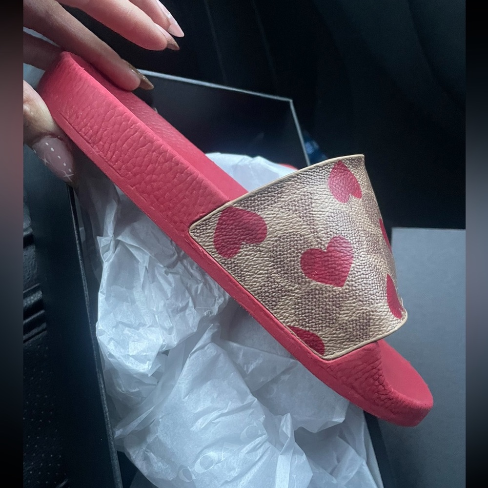Heart Coach slides